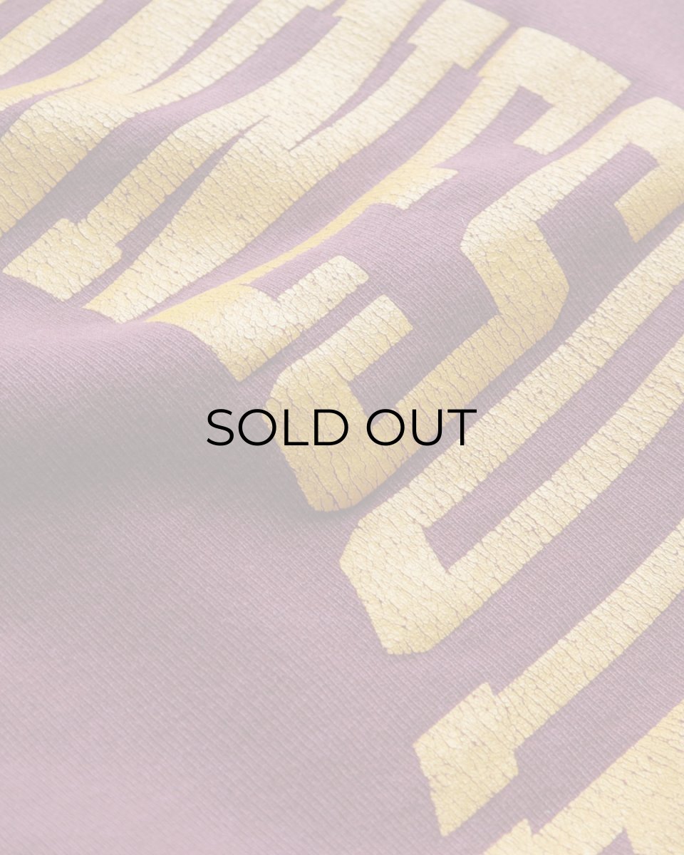 画像7: 80's Champion "REVERSE WEAVE" PRINT CREW NECK SWEAT "MINNESOTA" "MADE IN USA" (7)