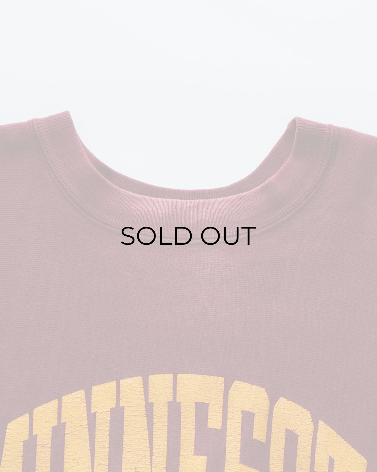 画像6: 80's Champion "REVERSE WEAVE" PRINT CREW NECK SWEAT "MINNESOTA" "MADE IN USA" (6)