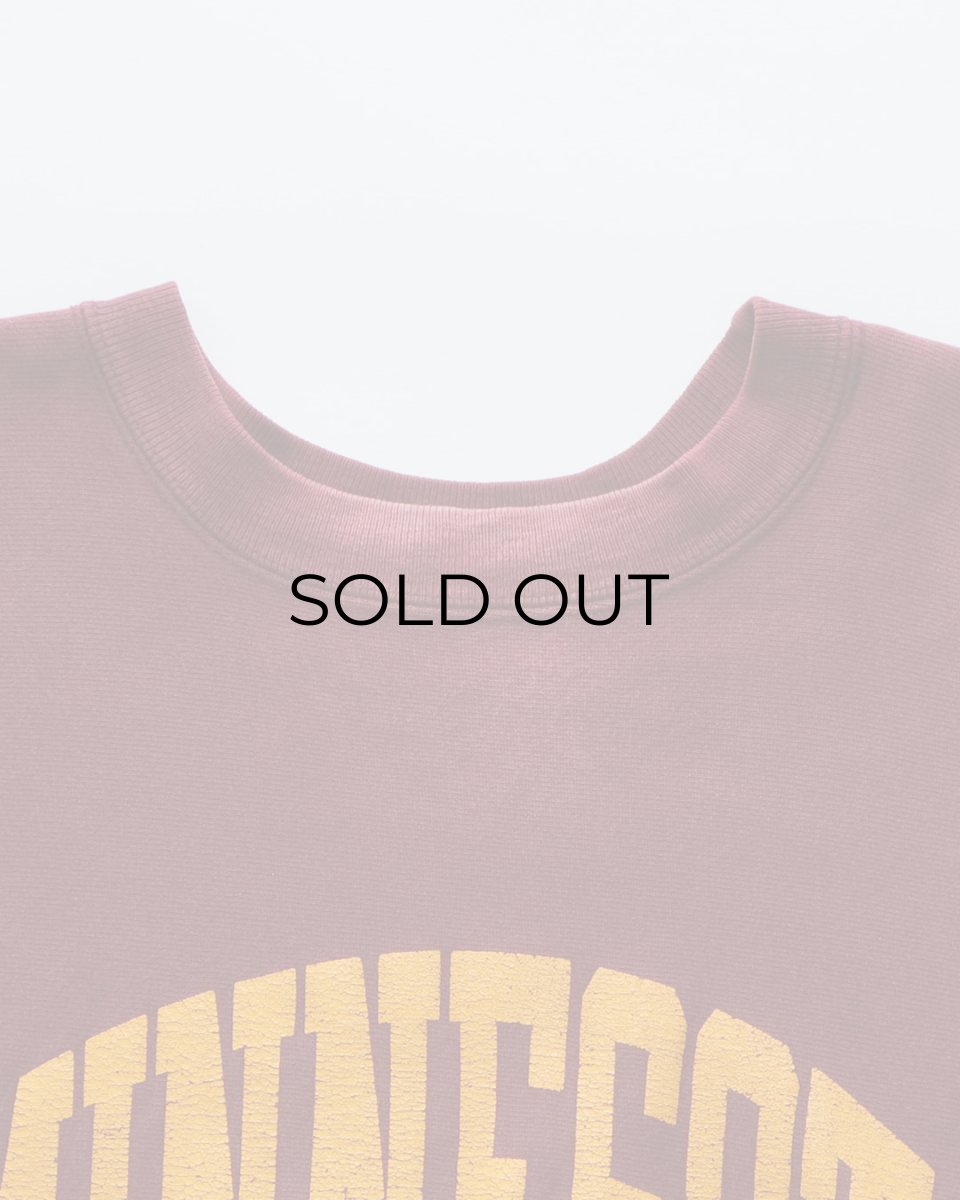 画像6: 80's Champion "REVERSE WEAVE" PRINT CREW NECK SWEAT "MINNESOTA" "MADE IN USA" (6)