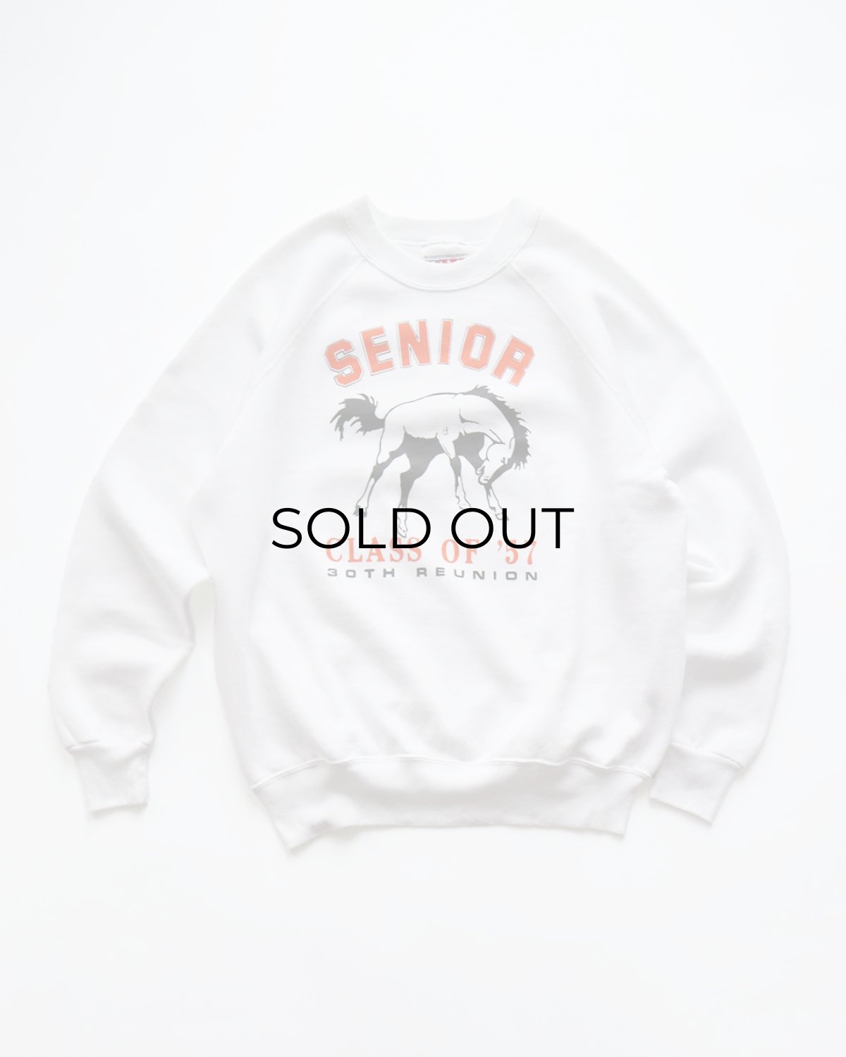 画像1: 80's BASSETT-WALKER PRINT CREW NECK SWEAT "SENIOR" "MADE IN USA" (1)