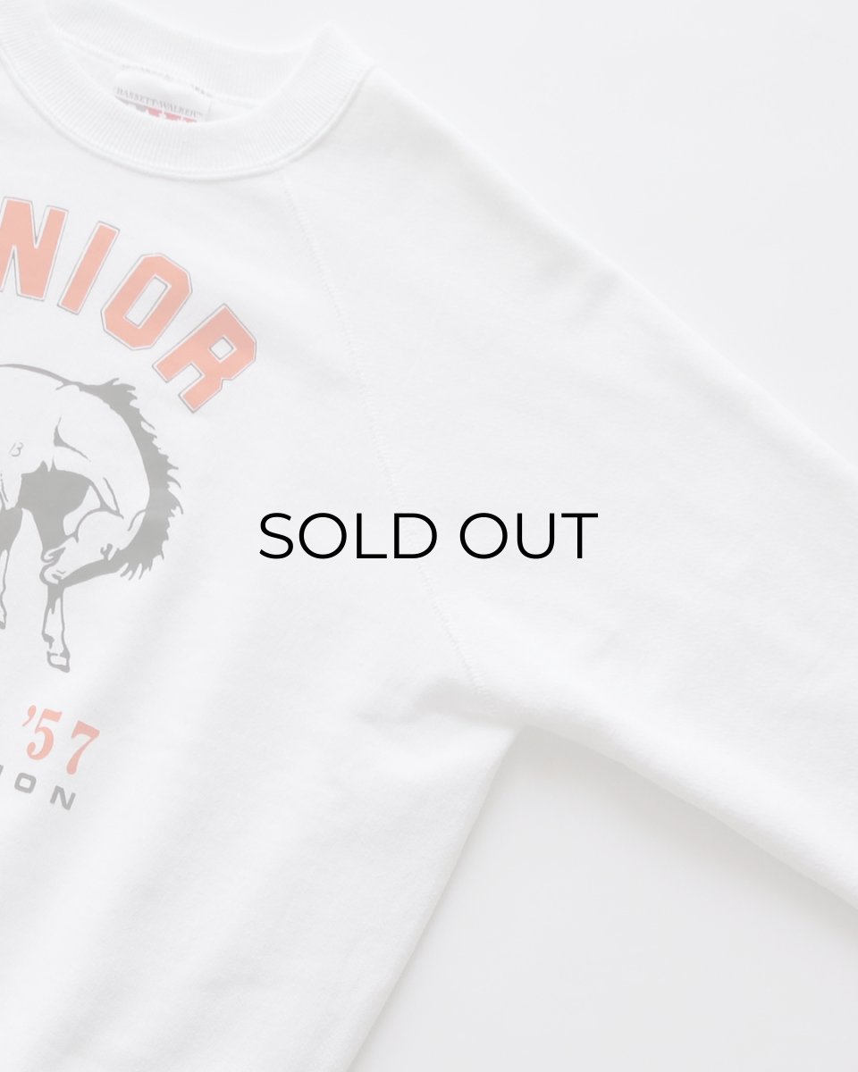 画像3: 80's BASSETT-WALKER PRINT CREW NECK SWEAT "SENIOR" "MADE IN USA" (3)