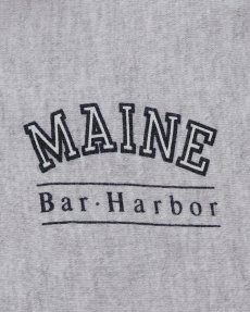 画像7: 〜90's kellsport REVERSE WEAVE style PRINT HIGH NECK SWEAT "MAINE" "MADE IN USA" (7)