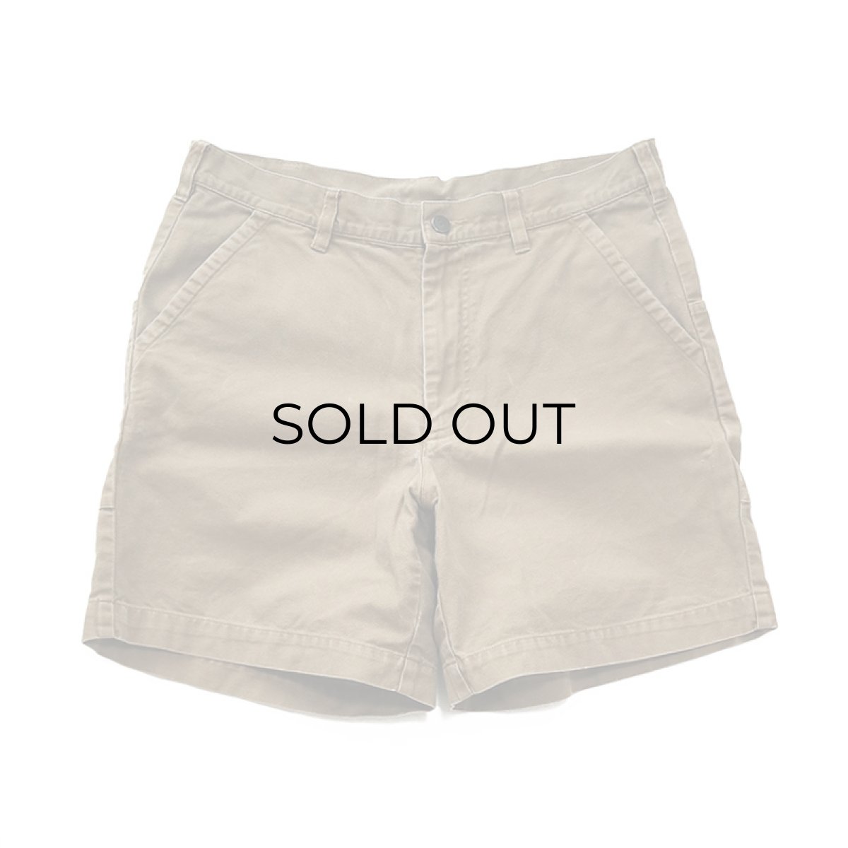 画像2: Patagonia  ORGANIC COTTON CANVAS STAND UP SHORTS【Size : W33程度】 (2)