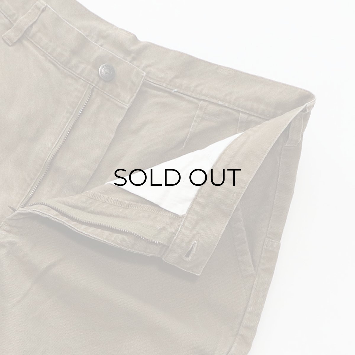 画像5: Patagonia  ORGANIC COTTON CANVAS STAND UP SHORTS【Size : W33程度】 (5)