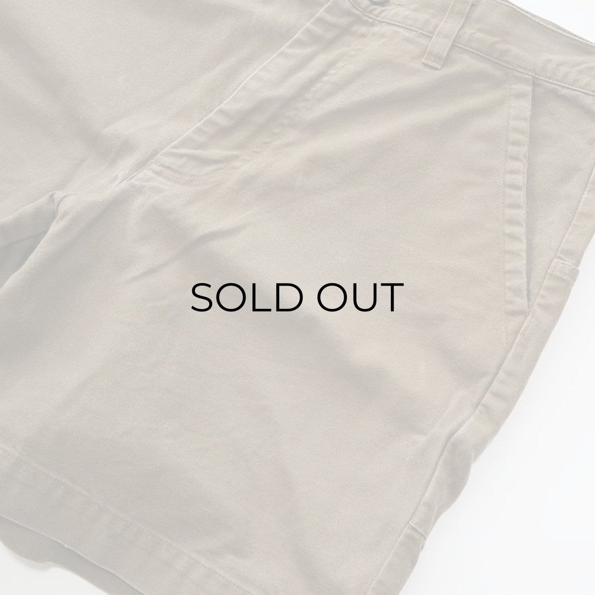 画像7: Patagonia  ORGANIC COTTON CANVAS STAND UP SHORTS【Size : W33程度】 (7)