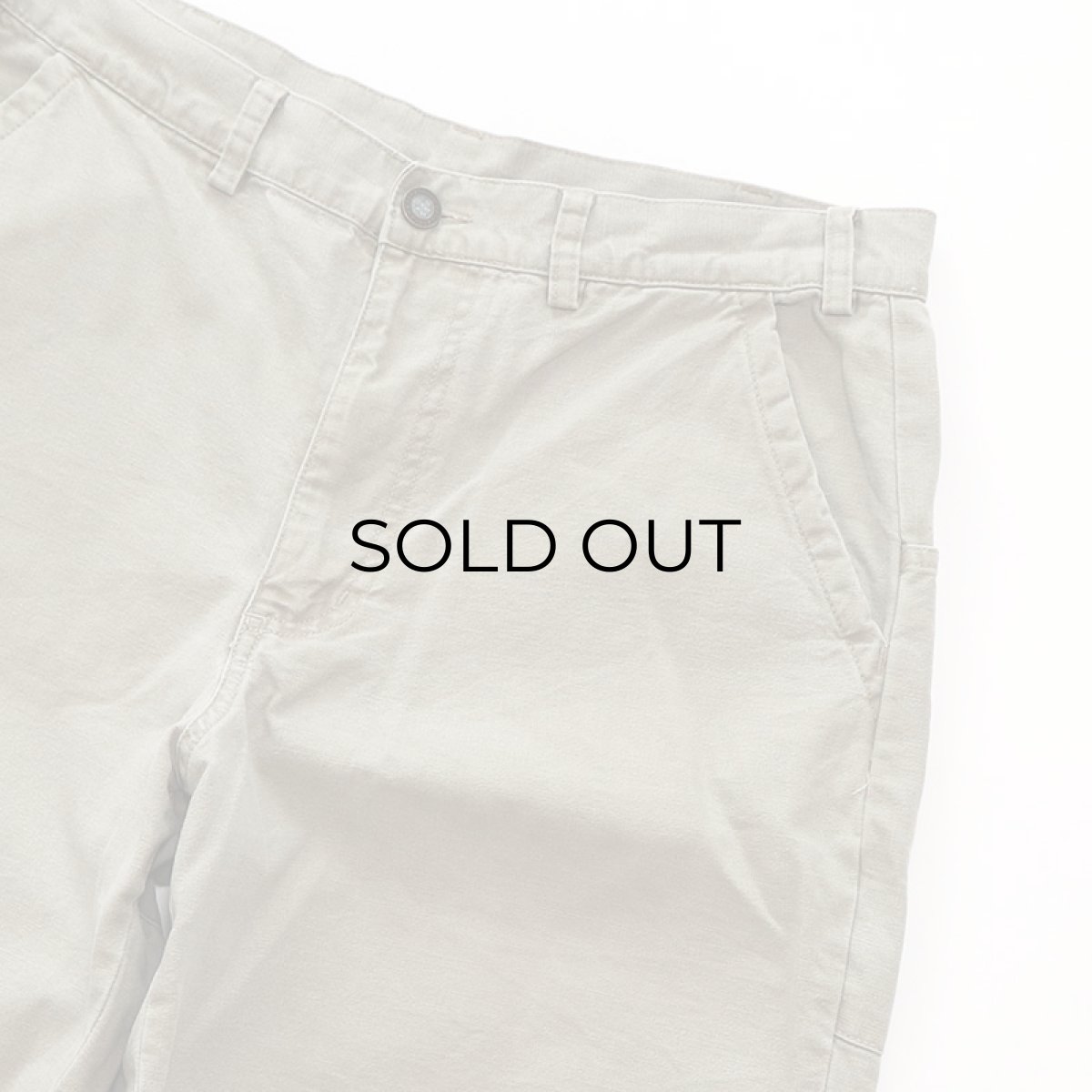 画像4: Patagonia  ORGANIC COTTON CANVAS STAND UP SHORTS【Size : W34程度】 (4)