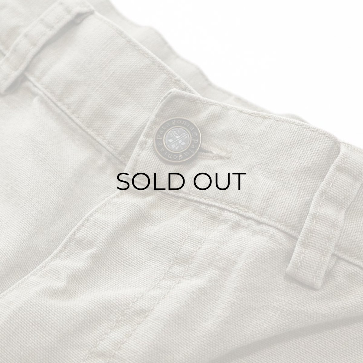 画像7: Patagonia  ORGANIC COTTON CANVAS STAND UP SHORTS【Size : W34程度】 (7)