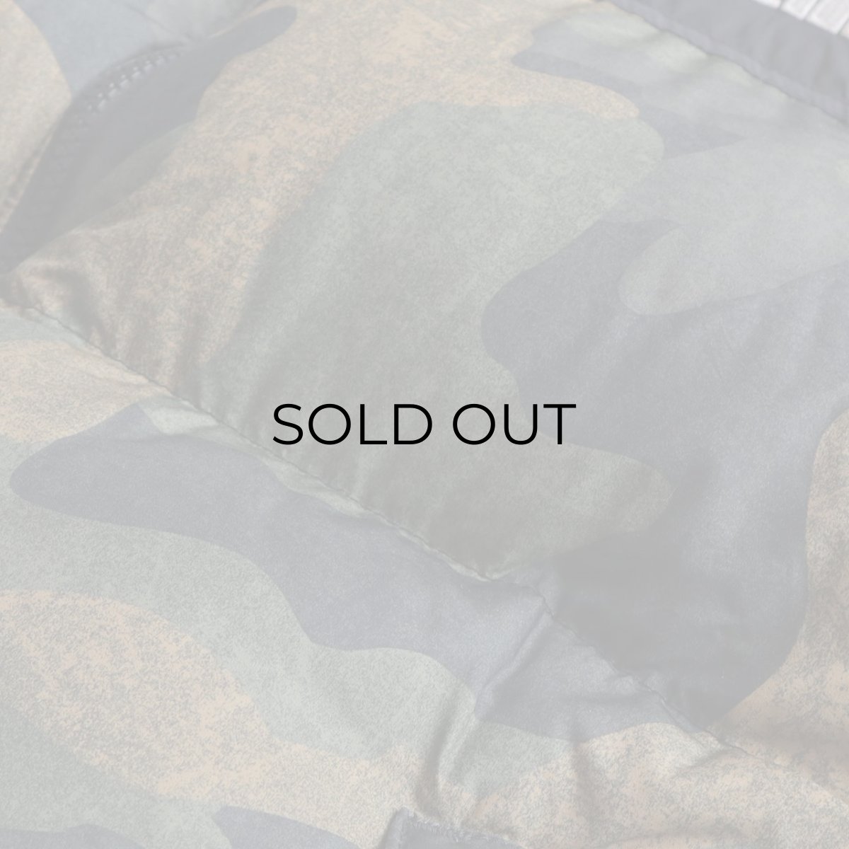 画像11: THE NORTH FACE "NOVELTY NUPTSE" CAMOUFLAGE PATTERN DOWN JACKET (11)