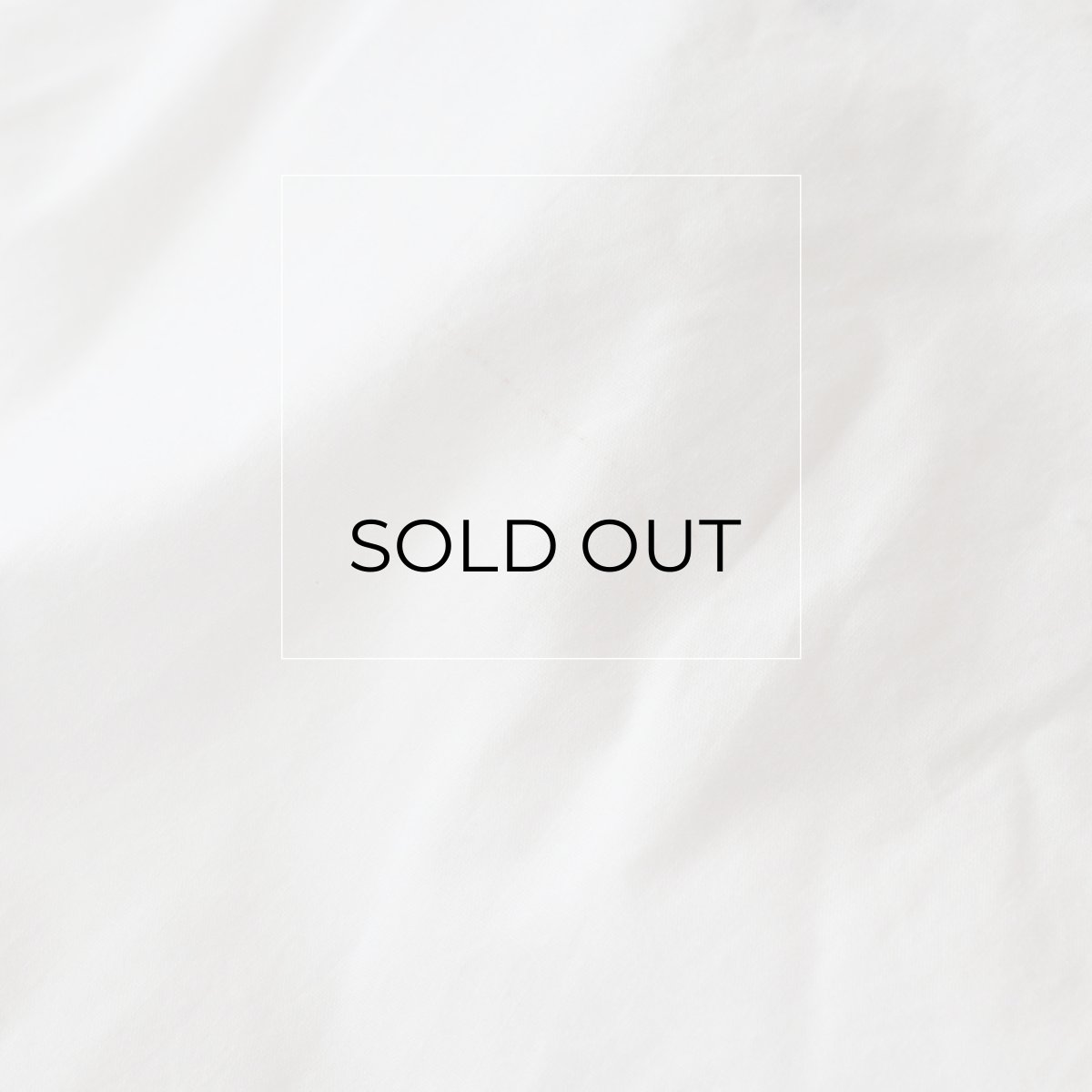 画像8: WITT CUTWORK COLLAR BLOUSE (8)