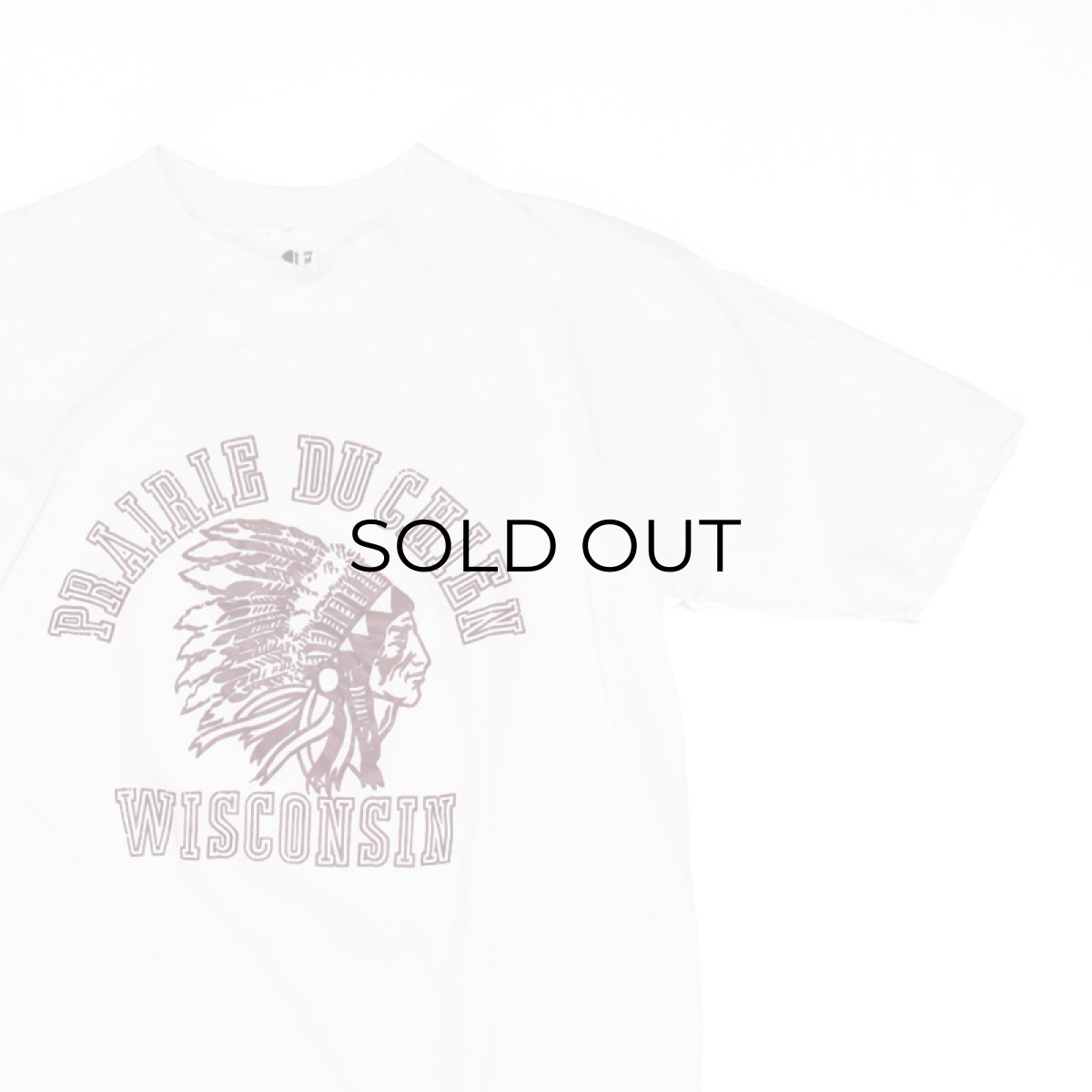 画像3: 80's downerwear PRINT S/S TEE "PRAIRIE DU CHIEN WISCONSIN" (3)