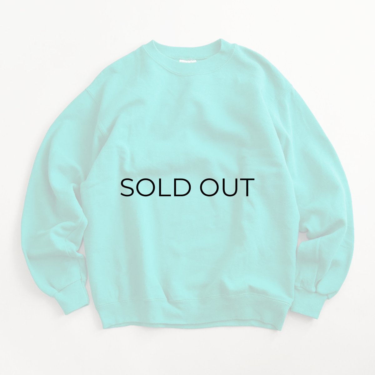 画像5: 80's Hanes CREW NECK PLAIN SWEAT (5)