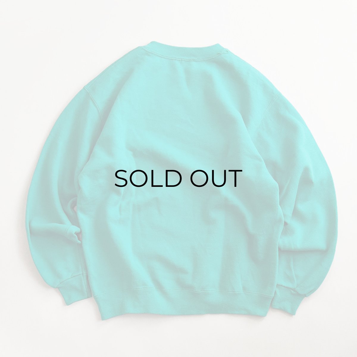 画像6: 80's Hanes CREW NECK PLAIN SWEAT (6)