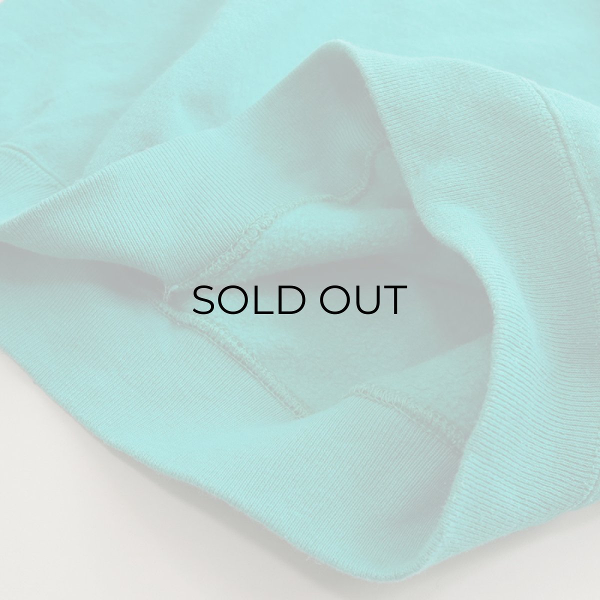 画像10: 80's Hanes CREW NECK PLAIN SWEAT (10)