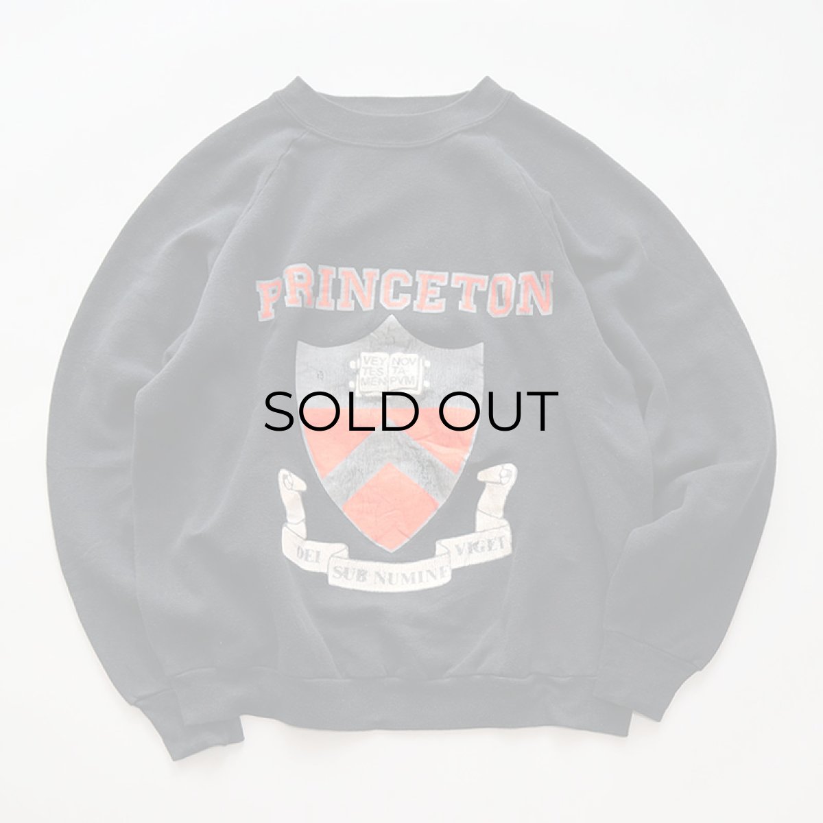 画像5: 〜90's JERZEES PRINT CREW NECK SWEAT "PRINCETON" (5)