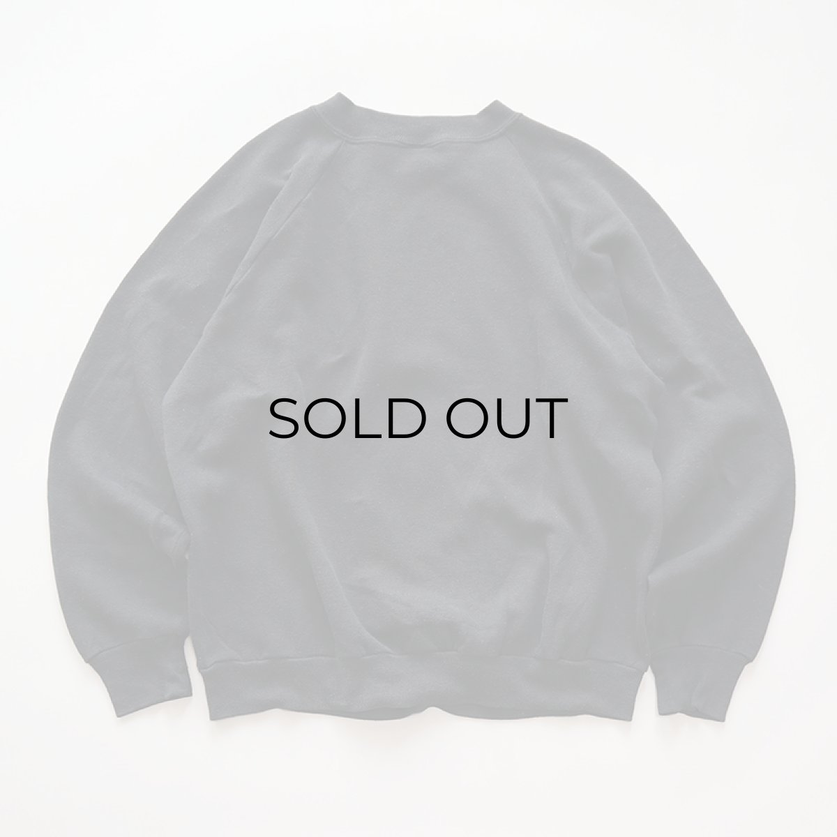 画像6: 〜90's JERZEES PRINT CREW NECK SWEAT "PRINCETON" (6)