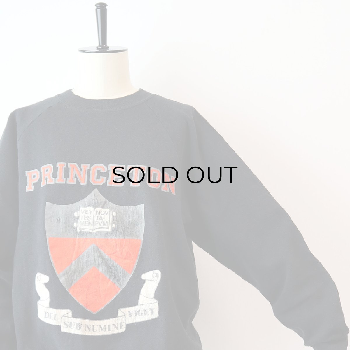 画像4: 〜90's JERZEES PRINT CREW NECK SWEAT "PRINCETON" (4)