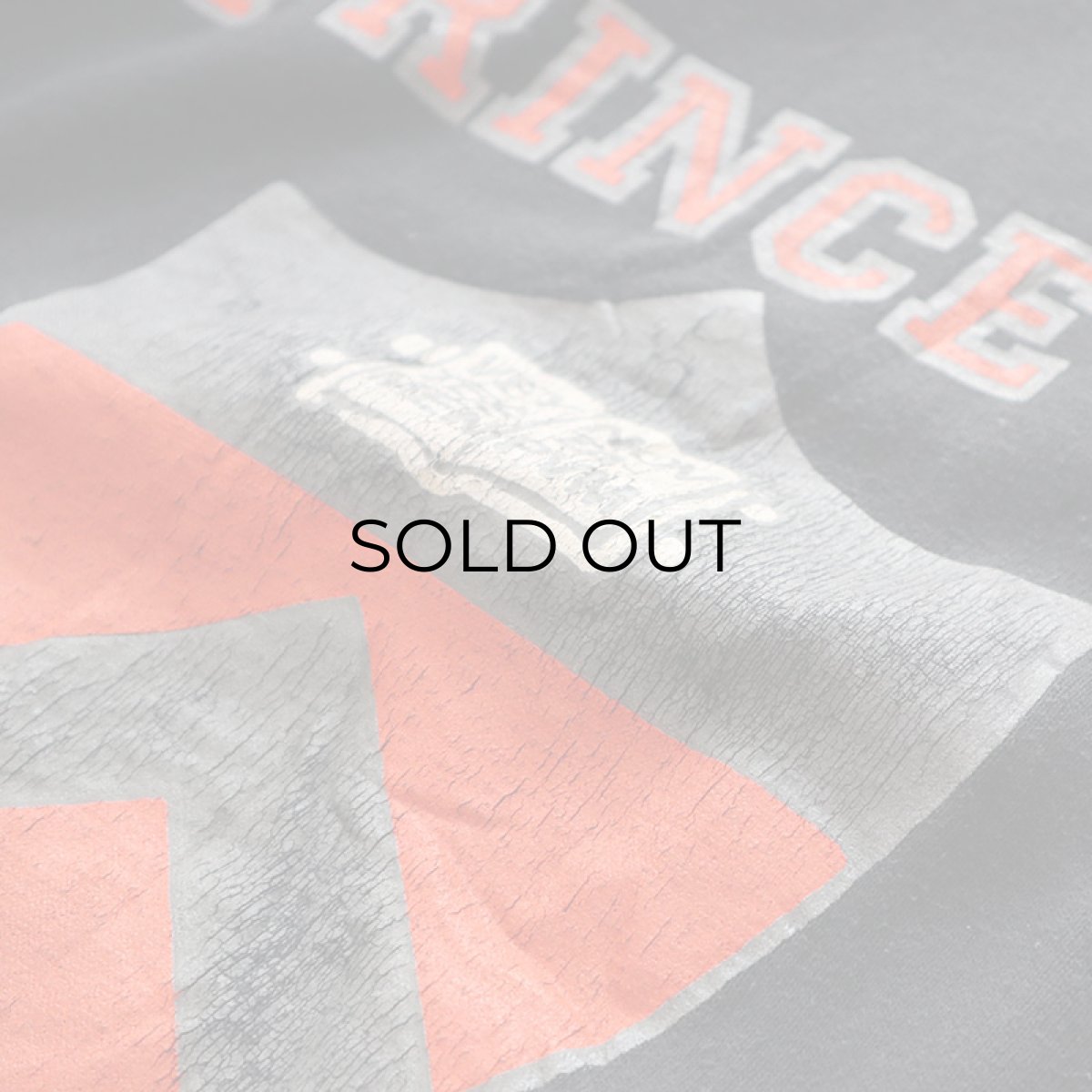 画像10: 〜90's JERZEES PRINT CREW NECK SWEAT "PRINCETON" (10)