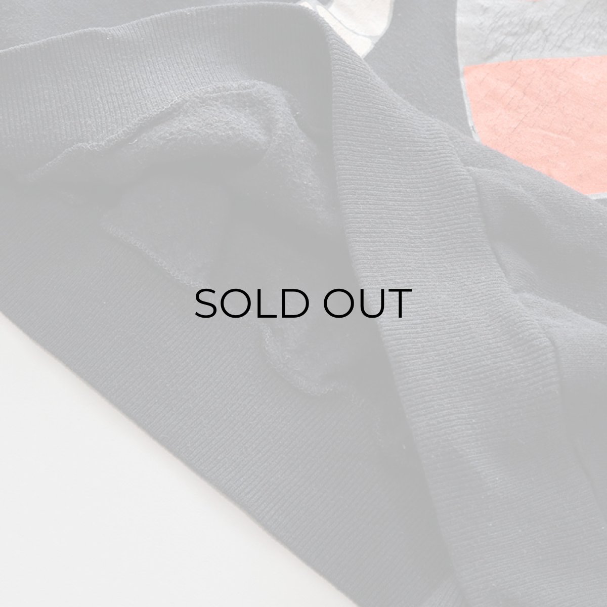 画像11: 〜90's JERZEES PRINT CREW NECK SWEAT "PRINCETON" (11)