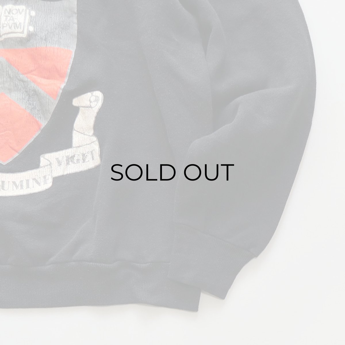 画像8: 〜90's JERZEES PRINT CREW NECK SWEAT "PRINCETON" (8)