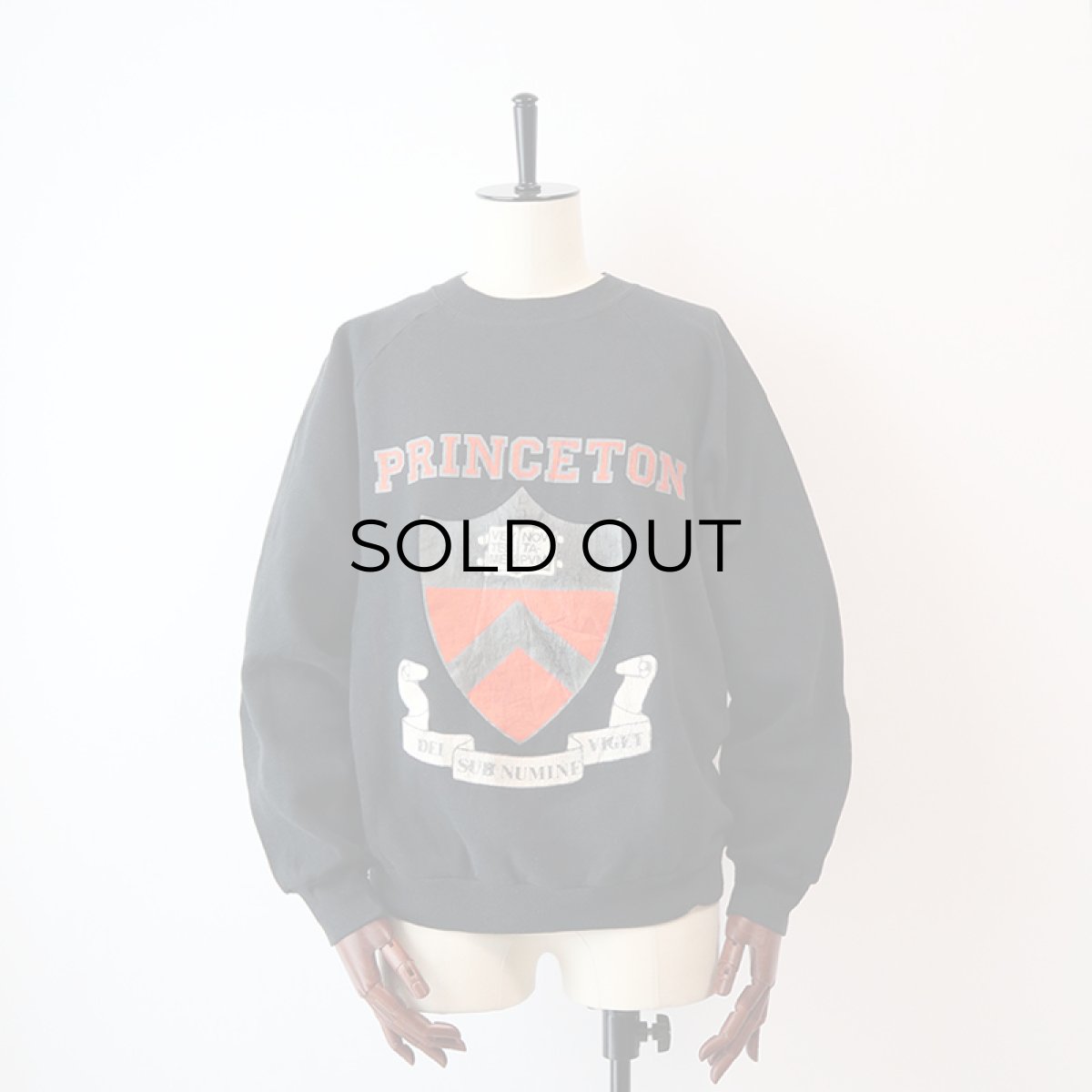 画像1: 〜90's JERZEES PRINT CREW NECK SWEAT "PRINCETON" (1)