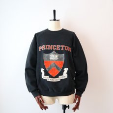 画像1: 〜90's JERZEES PRINT CREW NECK SWEAT "PRINCETON" (1)