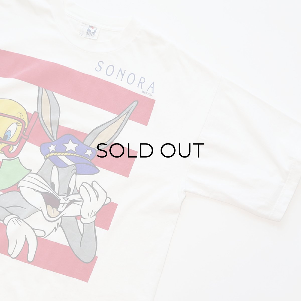 画像3: 90's YAZBEK COTTON PRINT S/S TEE "SONORA MEXICO" (3)