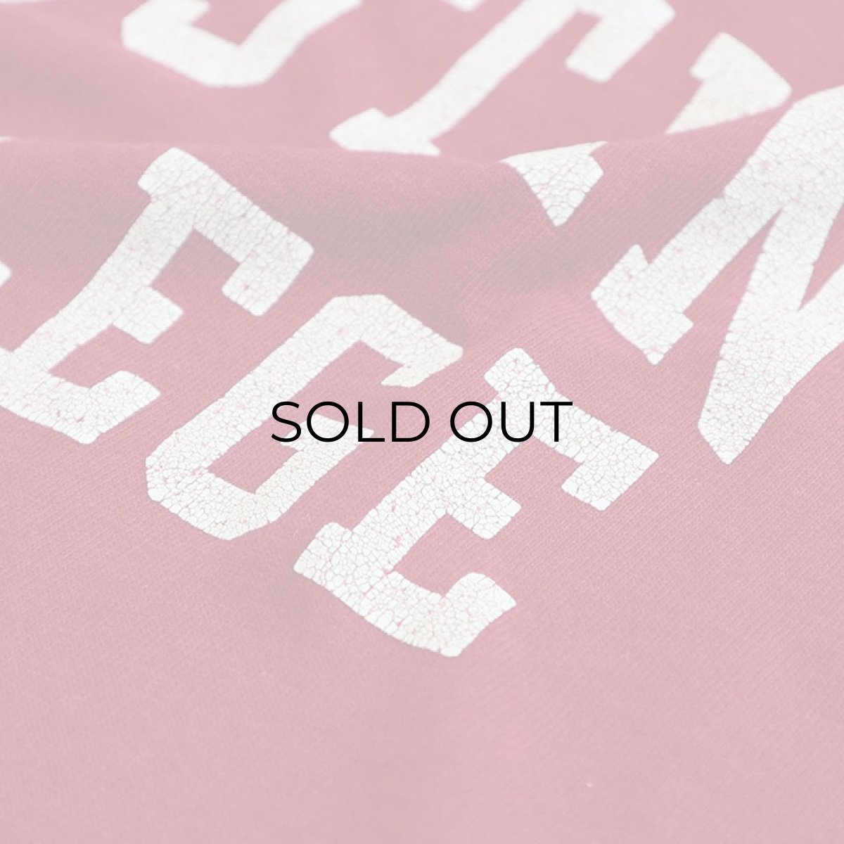 画像5: RUSSELL PRINT S/S TEE "AUSTIN COLLEGE" (5)