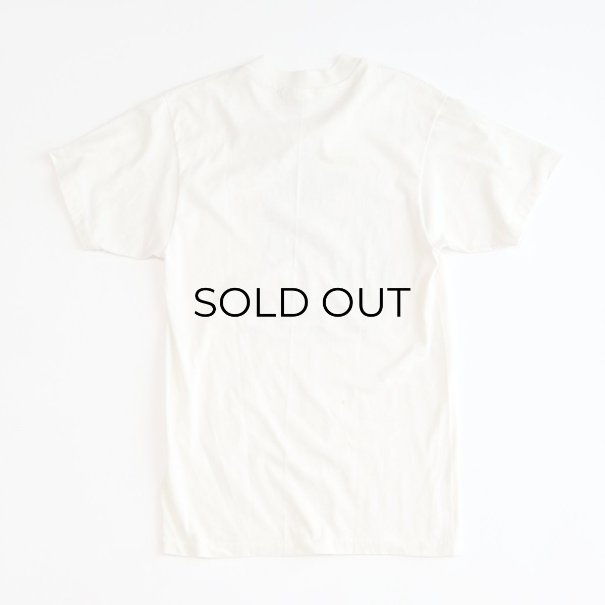 画像2: 80's Hanes PRINT S/S TEE "MYAKKA RIVER STATE PARK" (2)