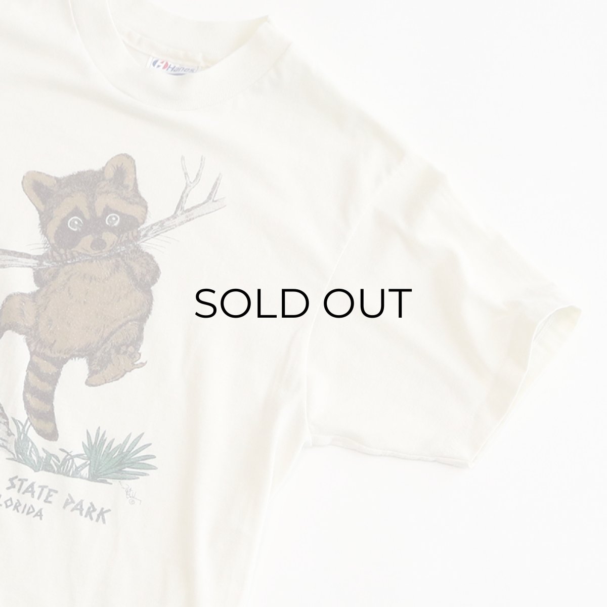 画像3: 80's Hanes PRINT S/S TEE "MYAKKA RIVER STATE PARK" (3)