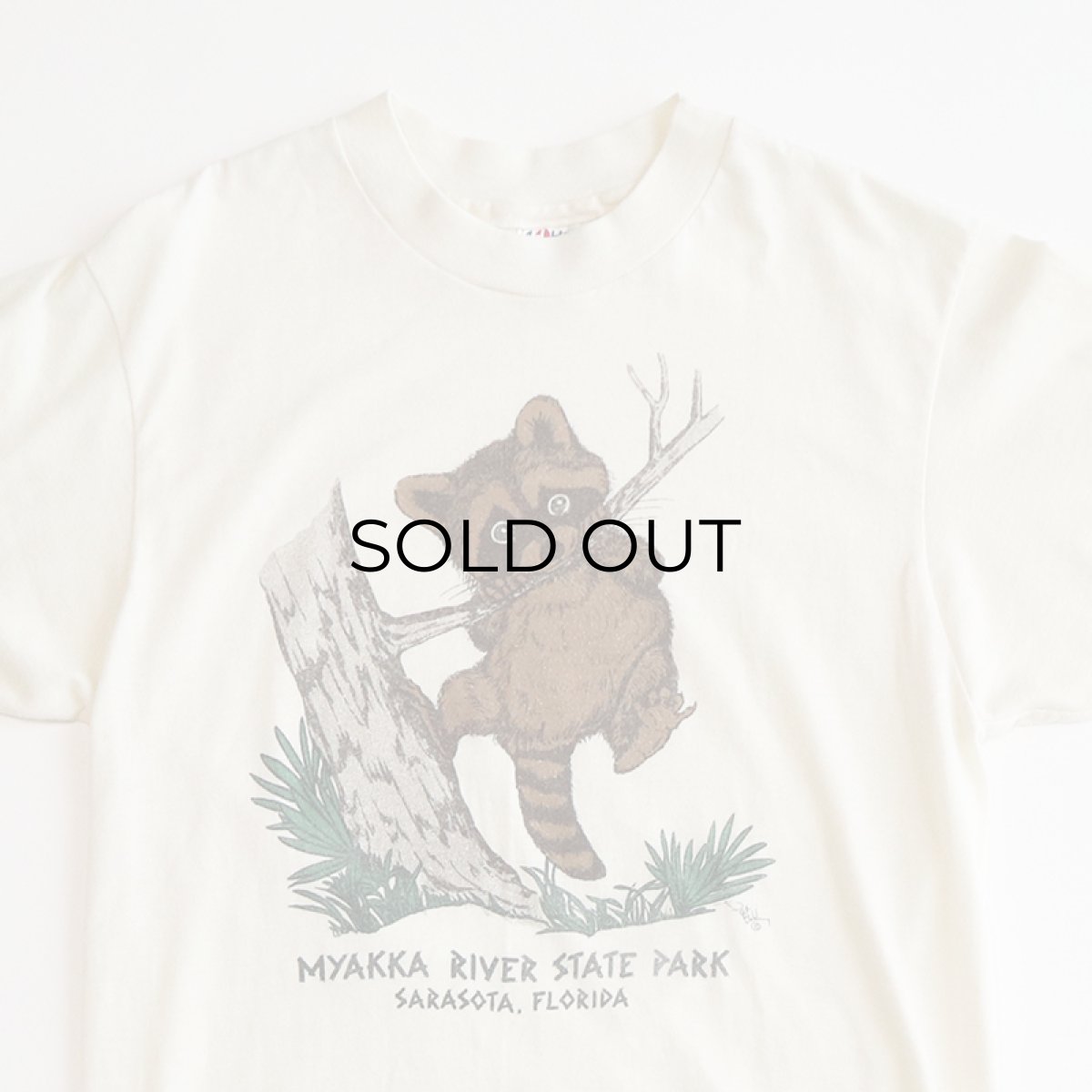 画像4: 80's Hanes PRINT S/S TEE "MYAKKA RIVER STATE PARK" (4)