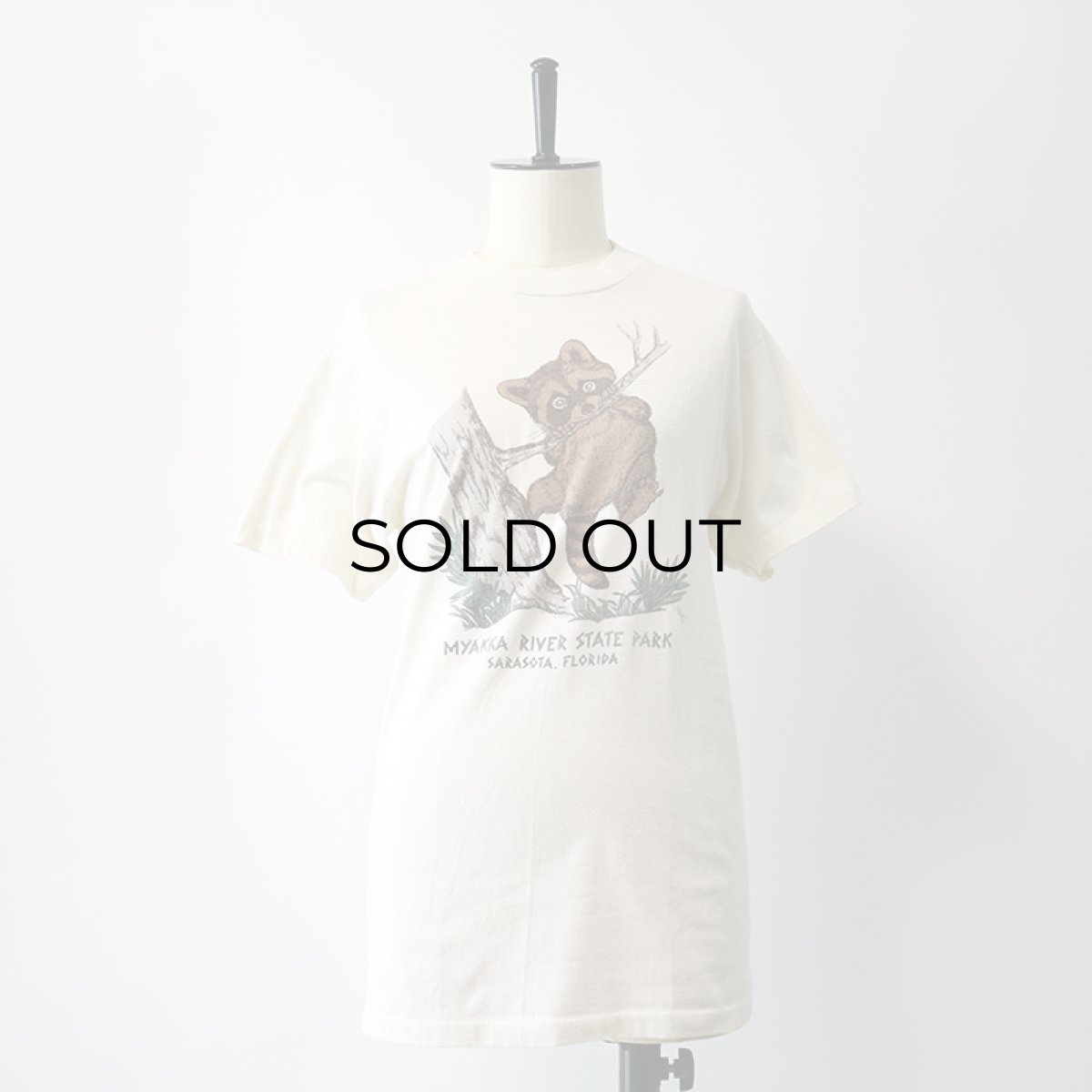 画像7: 80's Hanes PRINT S/S TEE "MYAKKA RIVER STATE PARK" (7)