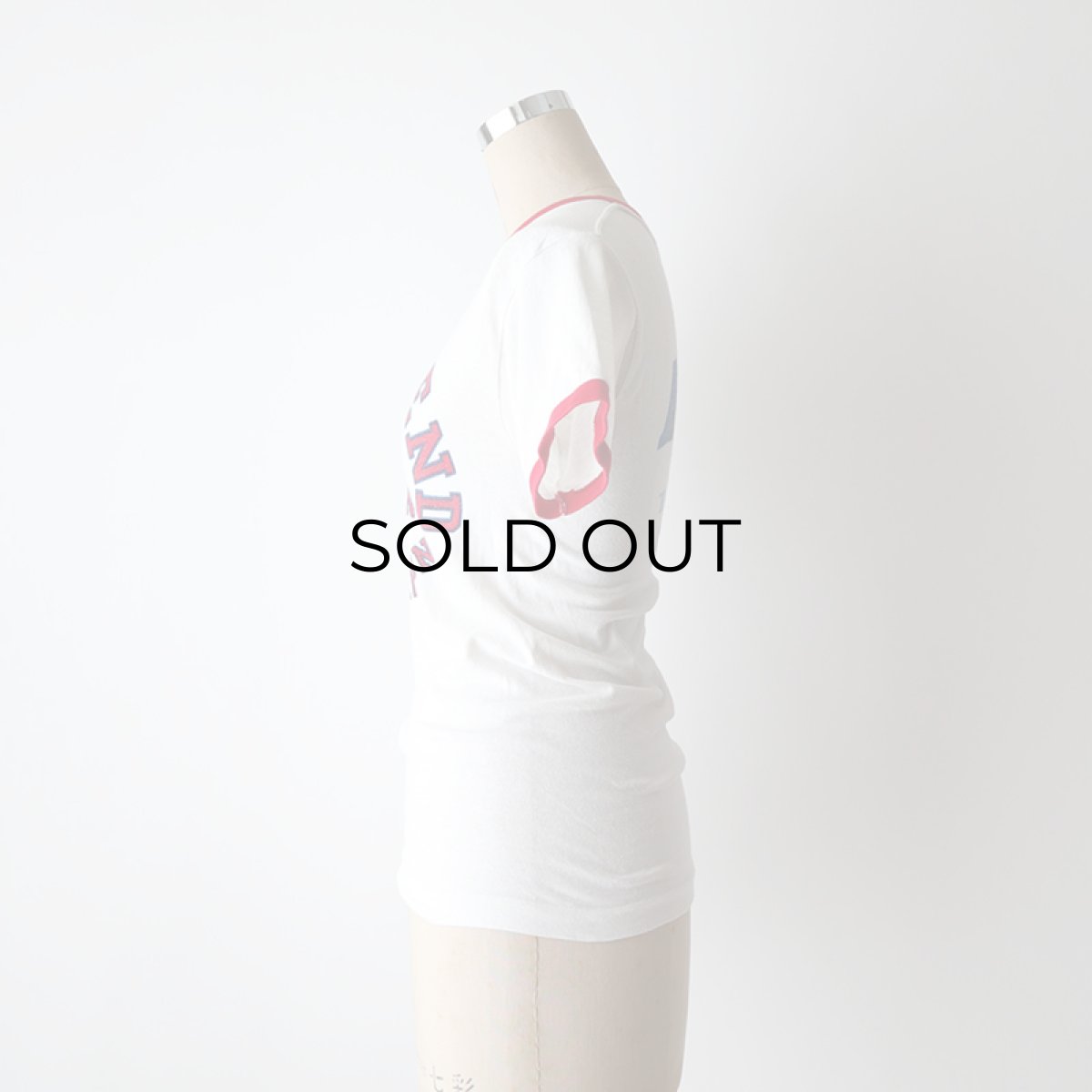 画像13: 70's Champion W-PRINT S/S TRIM TEE "TRAIL'S END"  (13)