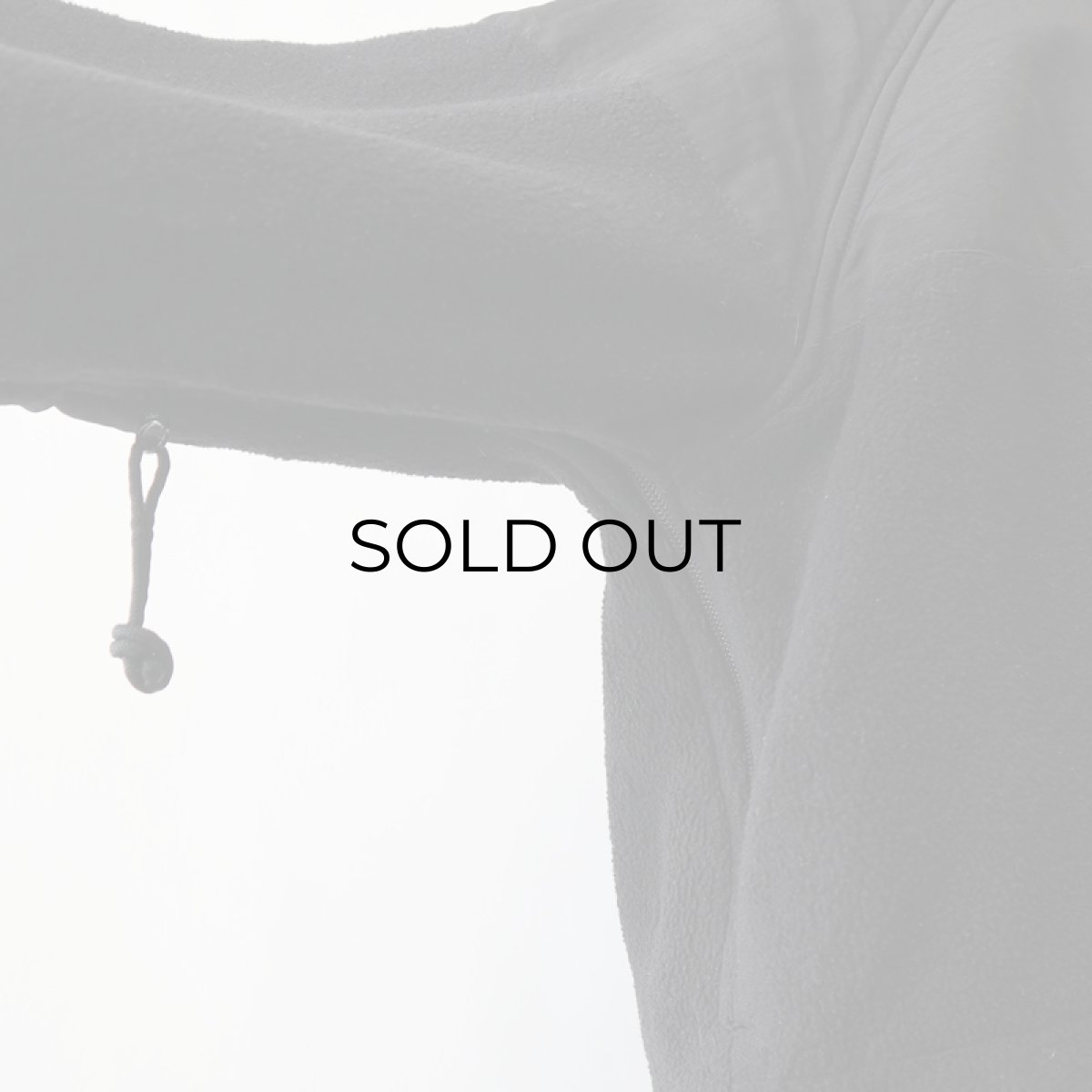 画像12: US MILITARY ECWCS GEN II POLARTEC FLEECE ZIP LINER JACKET 【SIZE : MEDIUM】 (12)