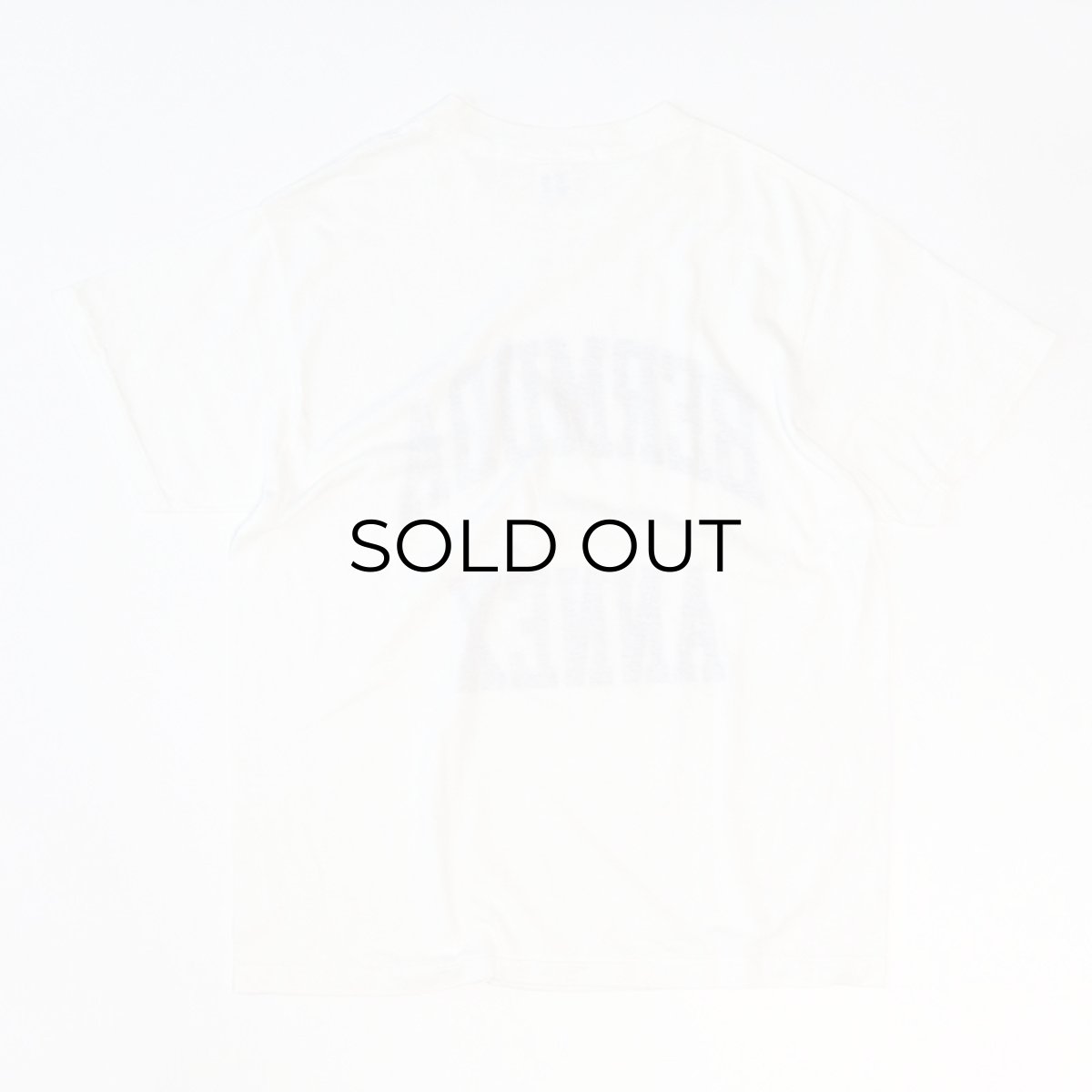 画像2: 80's Champion PRINT S/S TEE "BERMUDA ANNEX" (2)