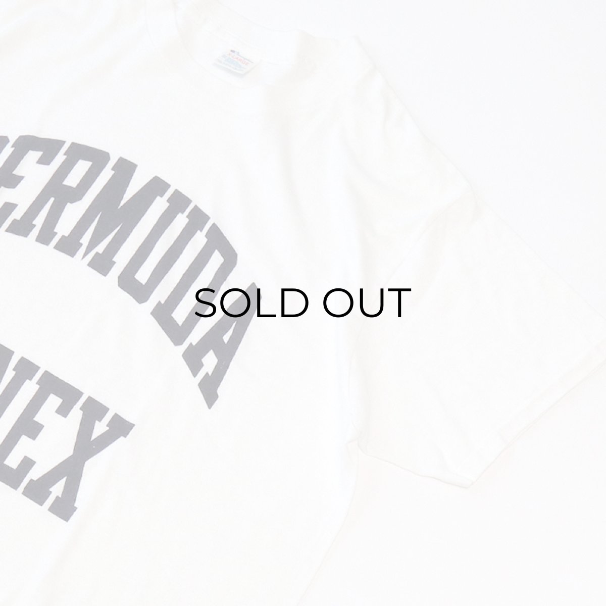 画像3: 80's Champion PRINT S/S TEE "BERMUDA ANNEX" (3)