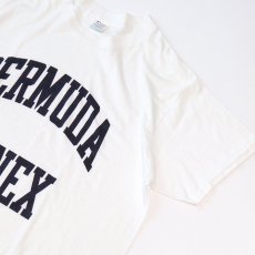 画像3: 80's Champion PRINT S/S TEE "BERMUDA ANNEX" (3)