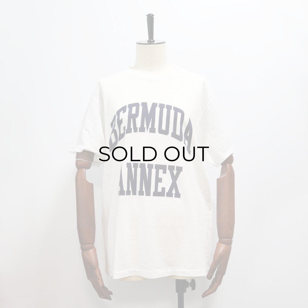 画像9: 80's Champion PRINT S/S TEE "BERMUDA ANNEX" (9)