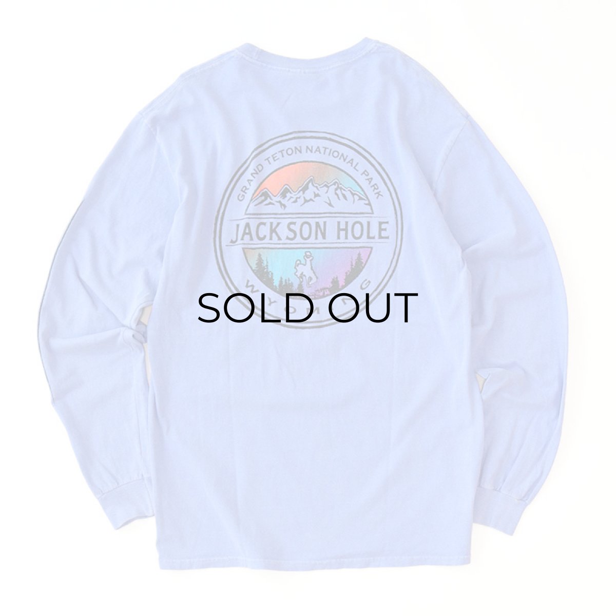 画像2: GILDAN PIGMENT DYED COTTON W-PRINT L/S TEE "JACKSON HOLE"  (2)