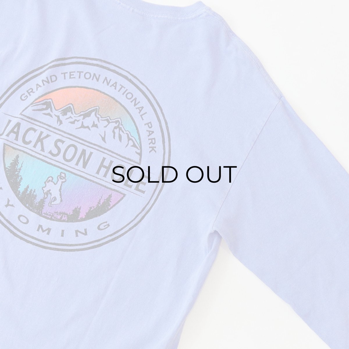 画像7: GILDAN PIGMENT DYED COTTON W-PRINT L/S TEE "JACKSON HOLE"  (7)