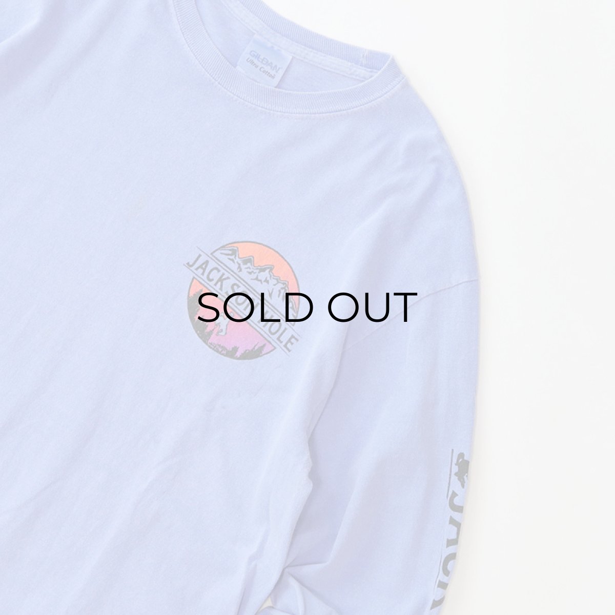 画像3: GILDAN PIGMENT DYED COTTON W-PRINT L/S TEE "JACKSON HOLE"  (3)