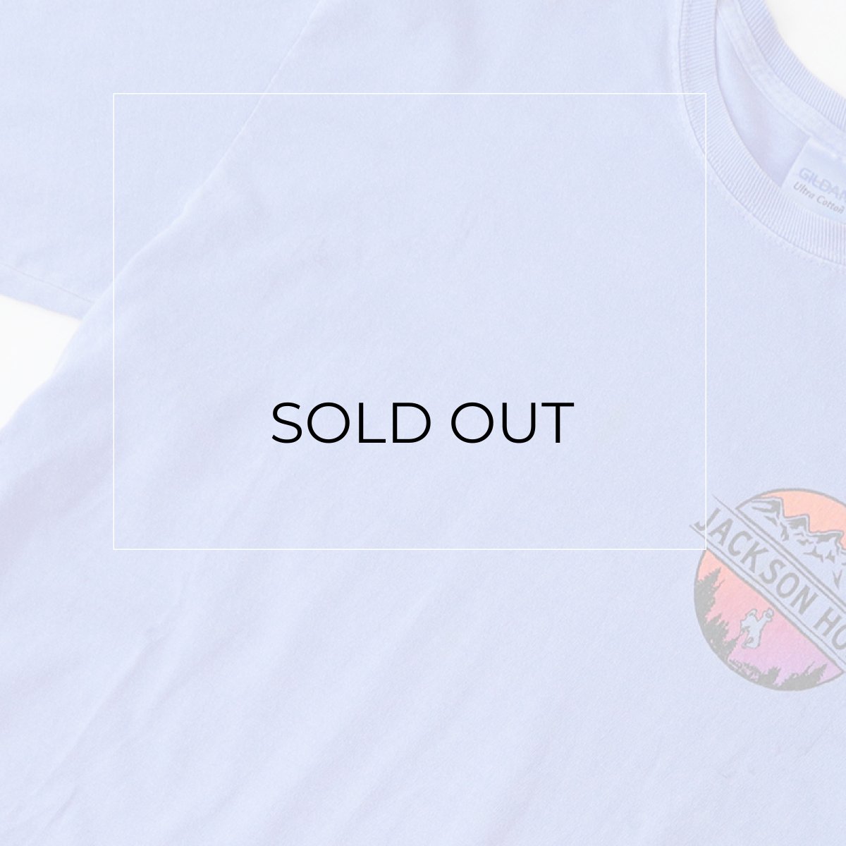 画像8: GILDAN PIGMENT DYED COTTON W-PRINT L/S TEE "JACKSON HOLE"  (8)