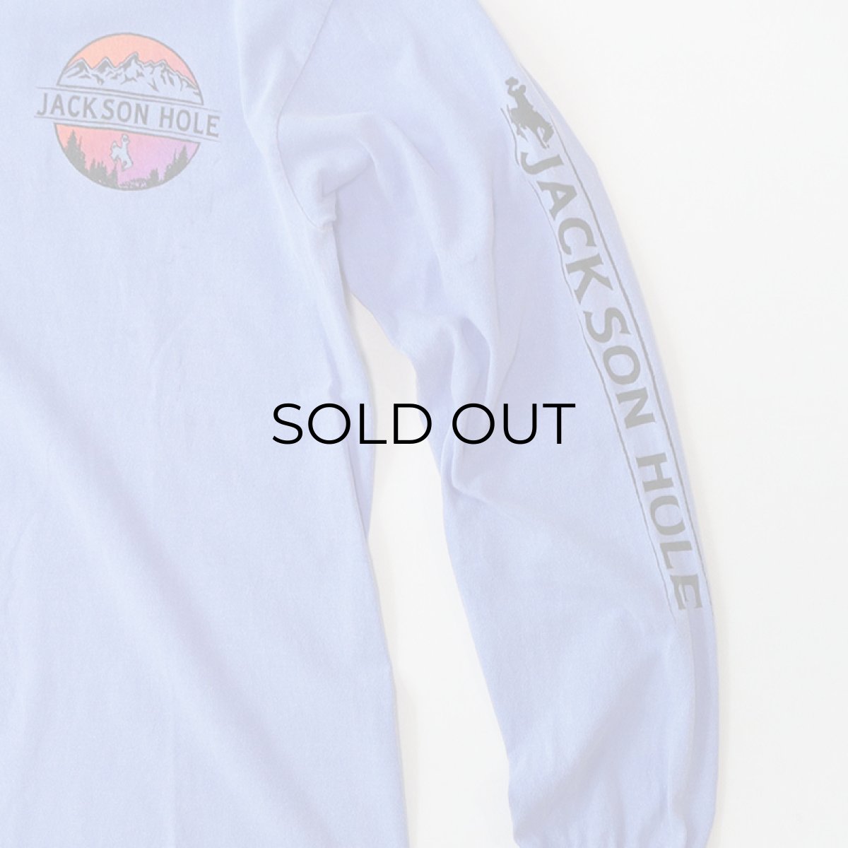 画像4: GILDAN PIGMENT DYED COTTON W-PRINT L/S TEE "JACKSON HOLE"  (4)