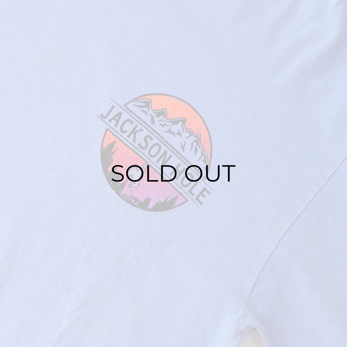 画像6: GILDAN PIGMENT DYED COTTON W-PRINT L/S TEE "JACKSON HOLE"  (6)