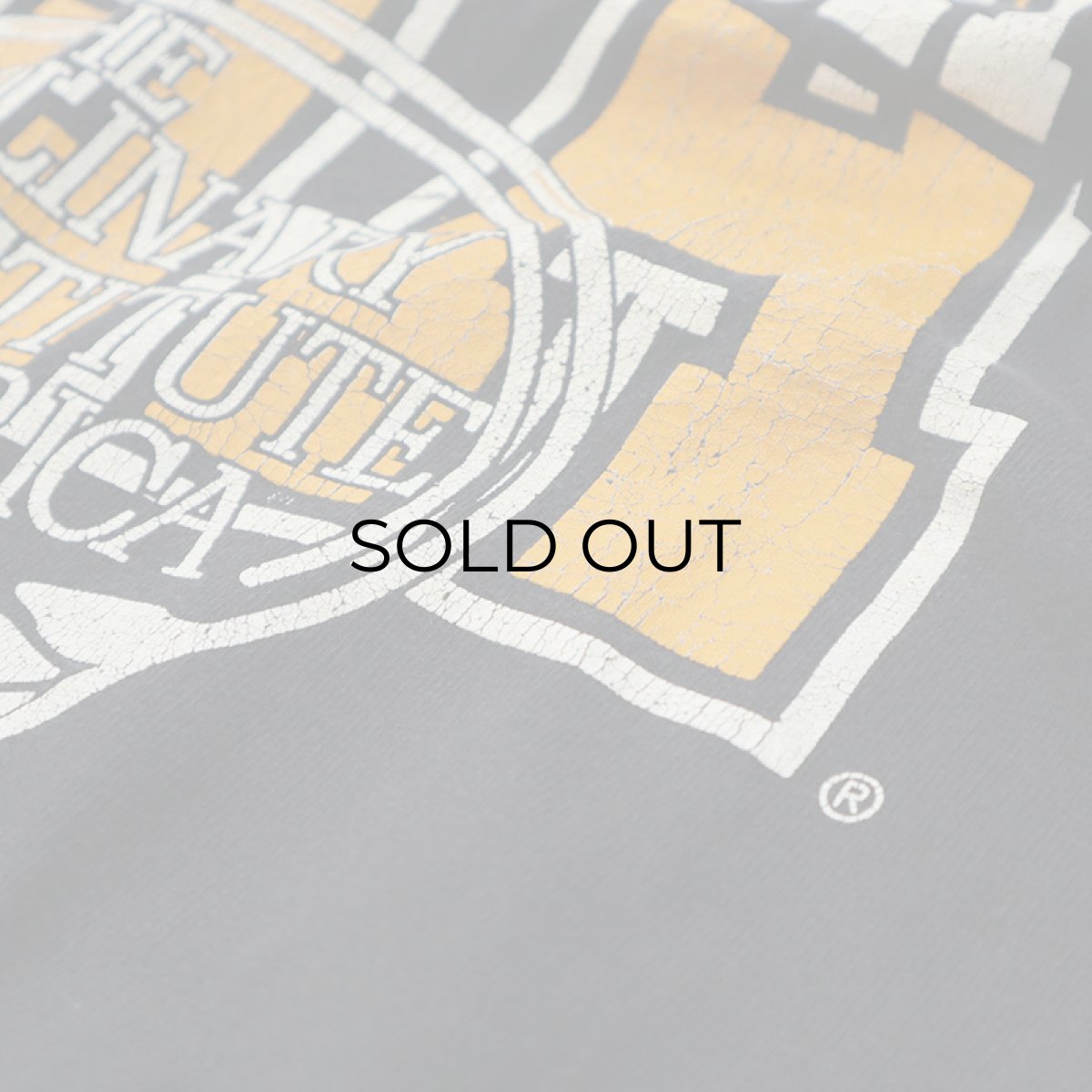 画像7: 90's Champion COTTON PRINT S/S TEE "THE CULINARY INSTITUTE OF AMERICA" (7)