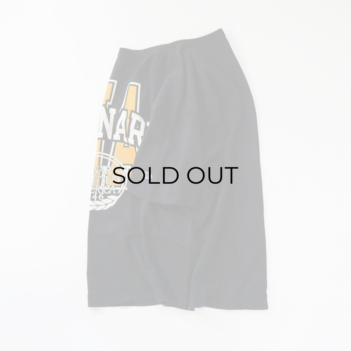 画像2: 90's Champion COTTON PRINT S/S TEE "THE CULINARY INSTITUTE OF AMERICA" (2)