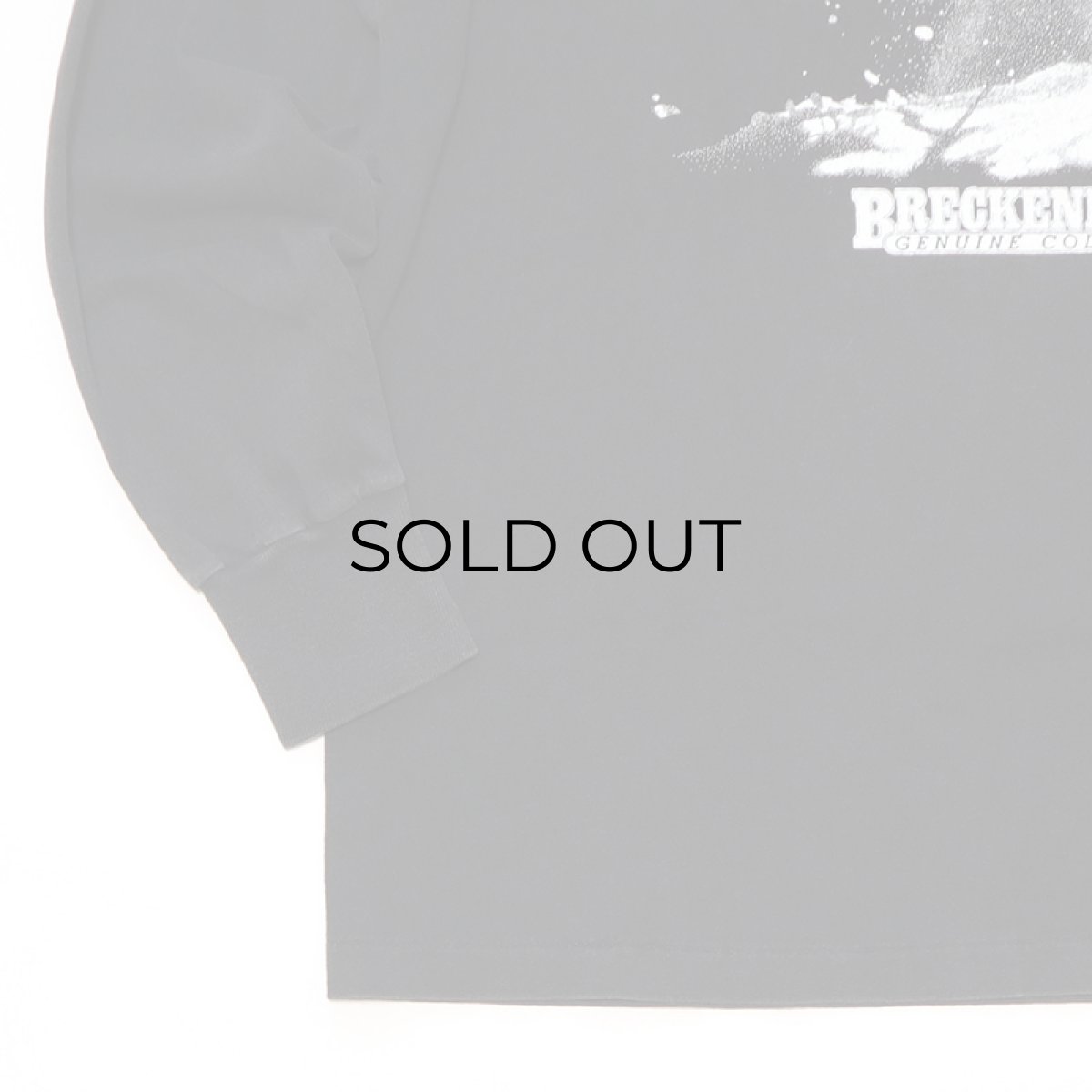 画像7: 〜90's ONEITA COTTON W-PRINT L/S TEE "BRECKENRIDGE" (7)