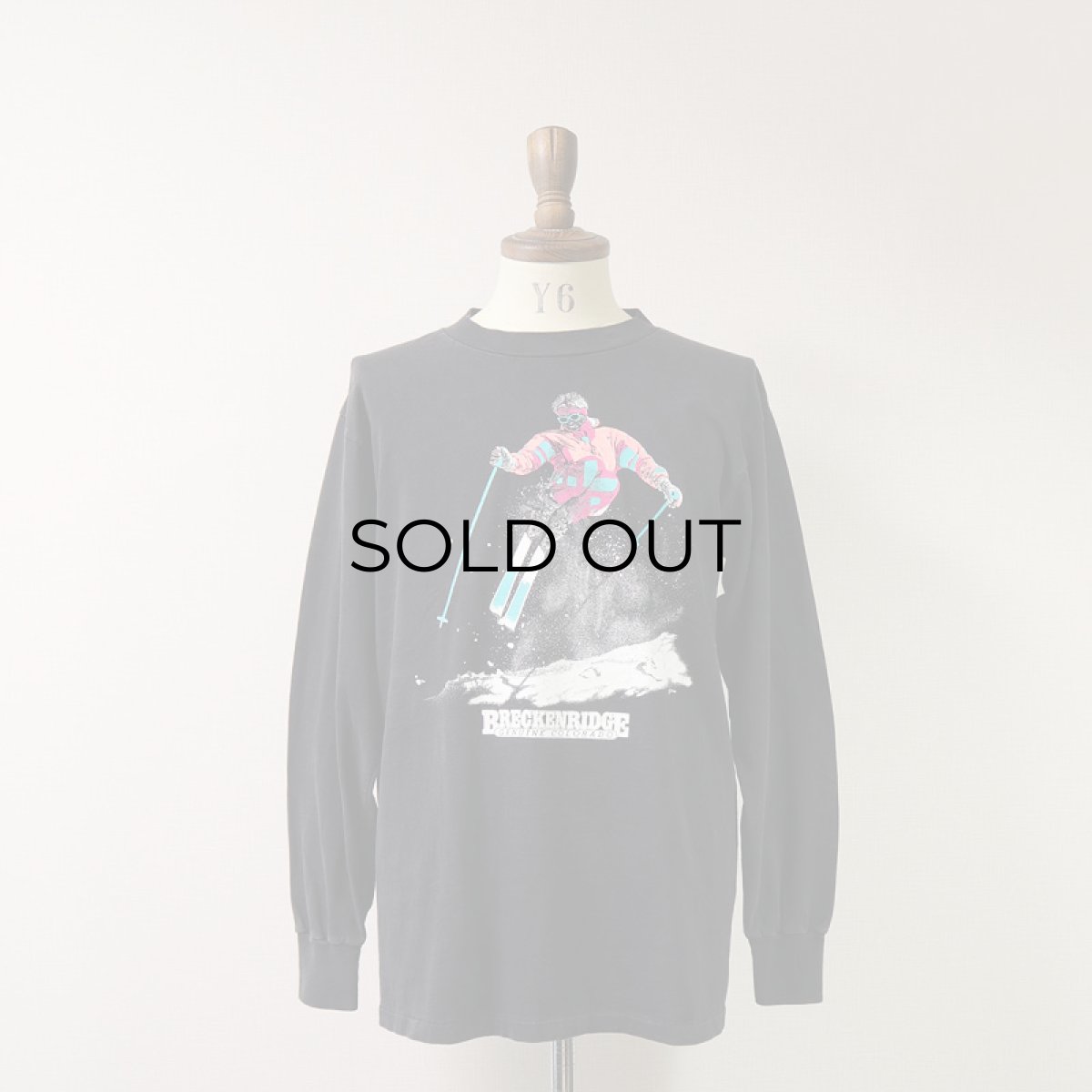 画像9: 〜90's ONEITA COTTON W-PRINT L/S TEE "BRECKENRIDGE" (9)