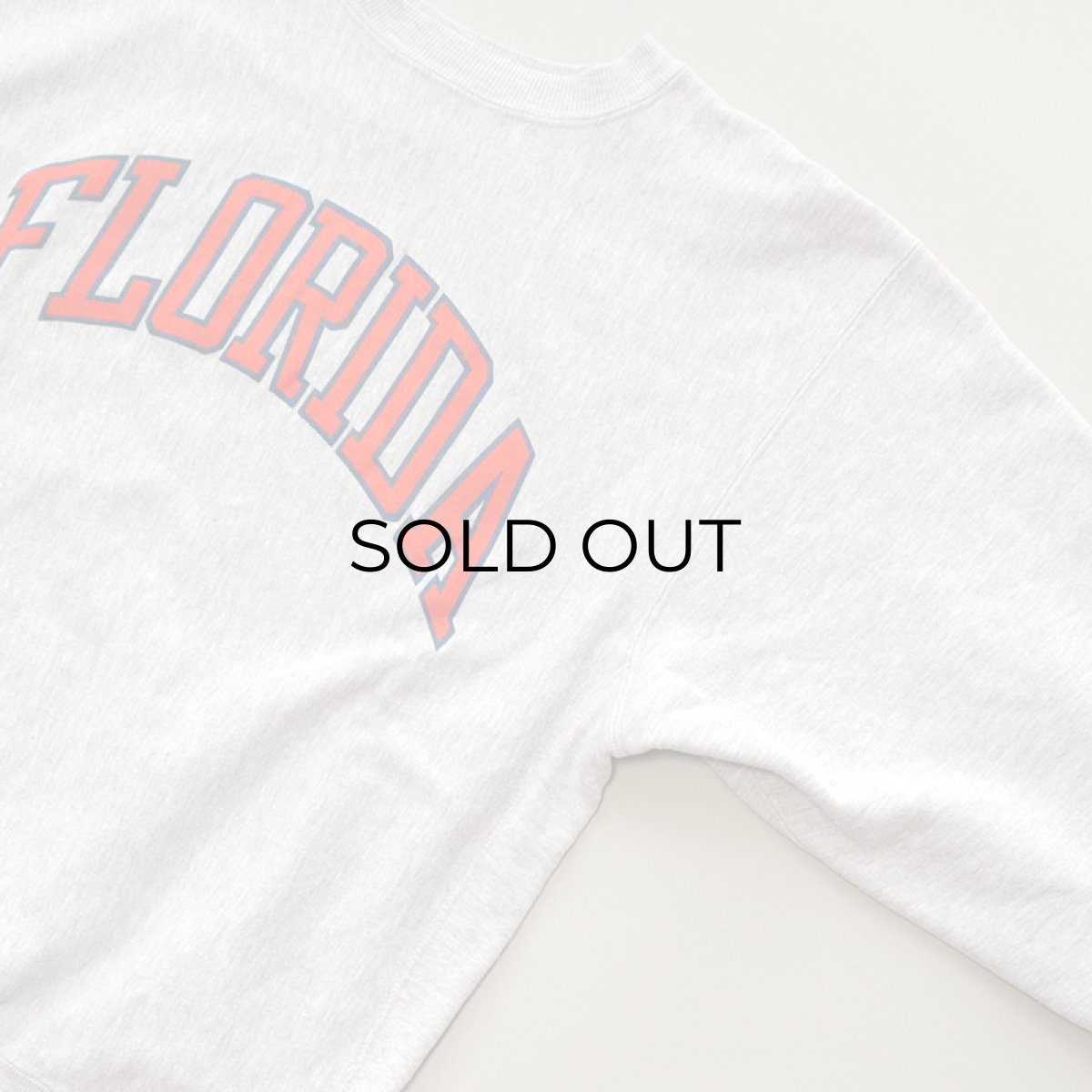 画像3: 90's Champion REVERSE WEAVE PRINT CREW NECK SWEAT "FLORIDA" (3)