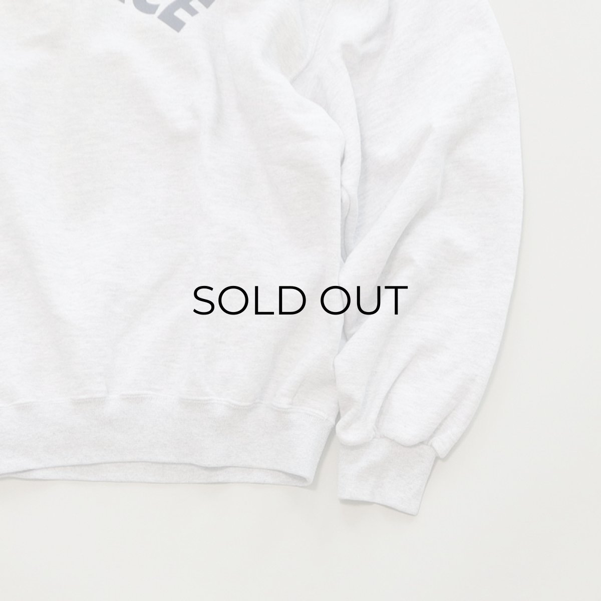 画像4: JERZEES PRINT CREW NECK SWEAT "AIR FORCE" (4)