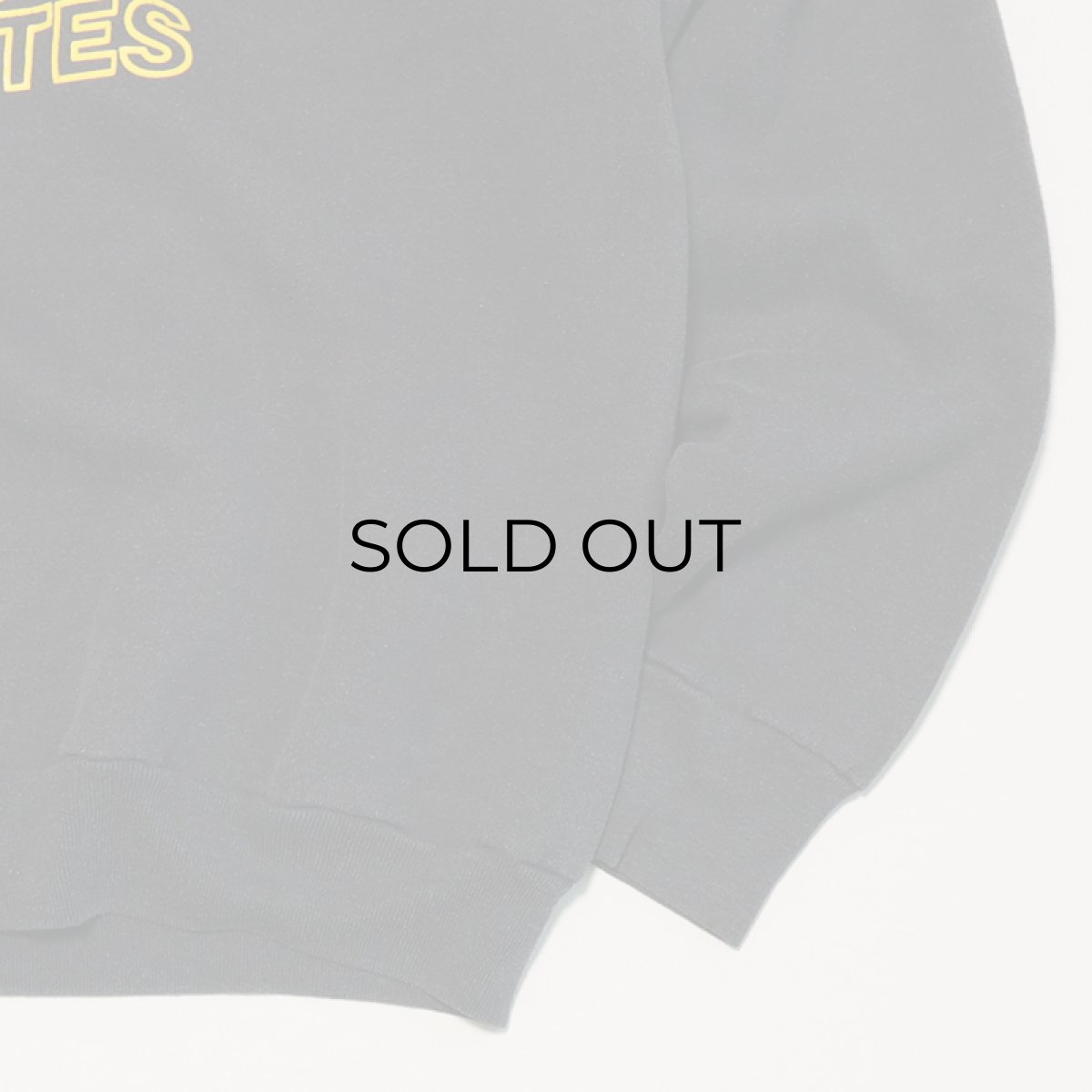 画像5: 80's-90's FRUIT OF THE LOOM PRINT CREW NECK SWEAT "GUESS" (5)